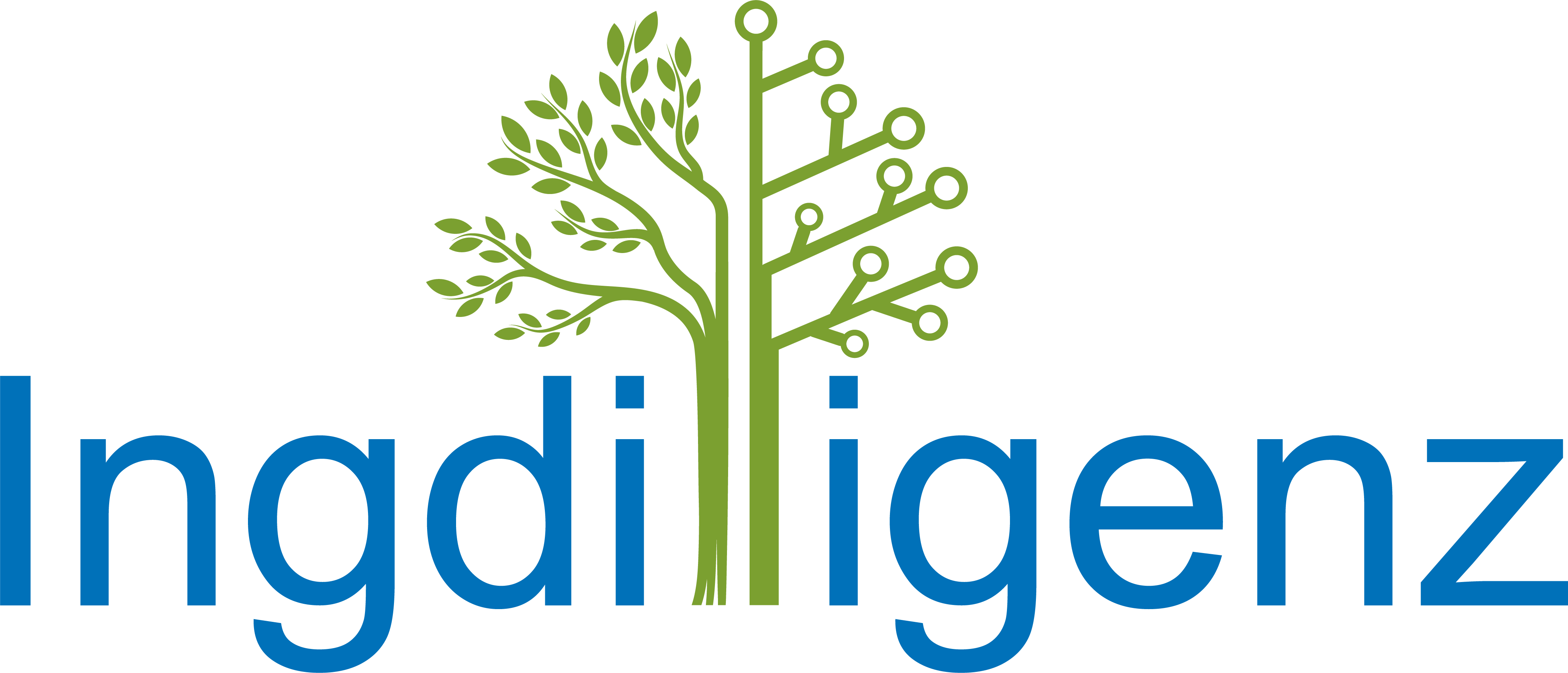 Ingdilligenz Logo